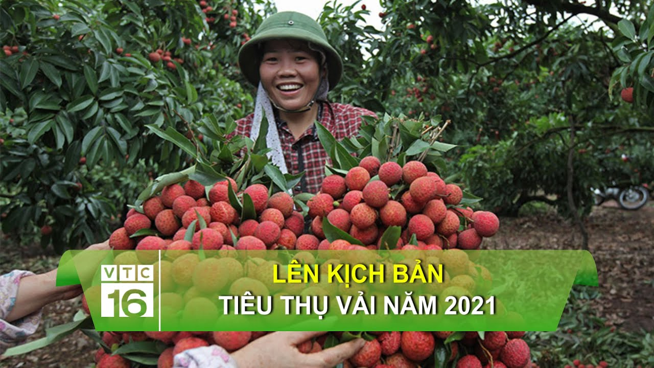 Nốt ruồi khổng lồ phủ kín hộp sọ khiến cậu bé có ngoại hình giống chuột Mickey