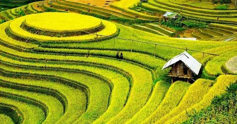 Thua đội cuối bảng vì sai lầm khó hiểu, HLV Quảng Nam nhắn tin xin từ chức
