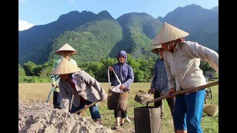 Top 5 ngành nghề dễ thất nghiệp trong vòng 2 - 3 năm tới